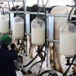 Production-lait01