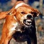 Rage